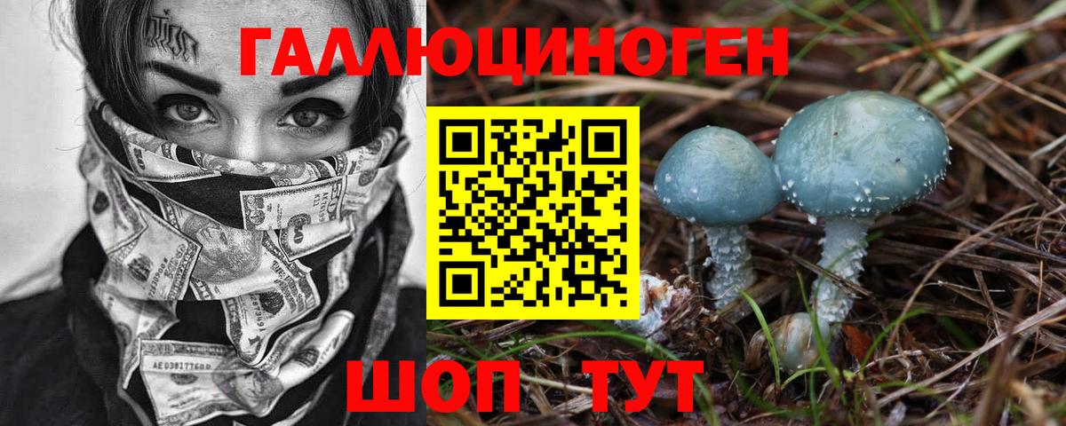 Галлюциногенные грибы GOLDEN TEACHER  Вход с VPN  Галлюциногенные грибы Cubensis  где купить наркотик  Ревда 